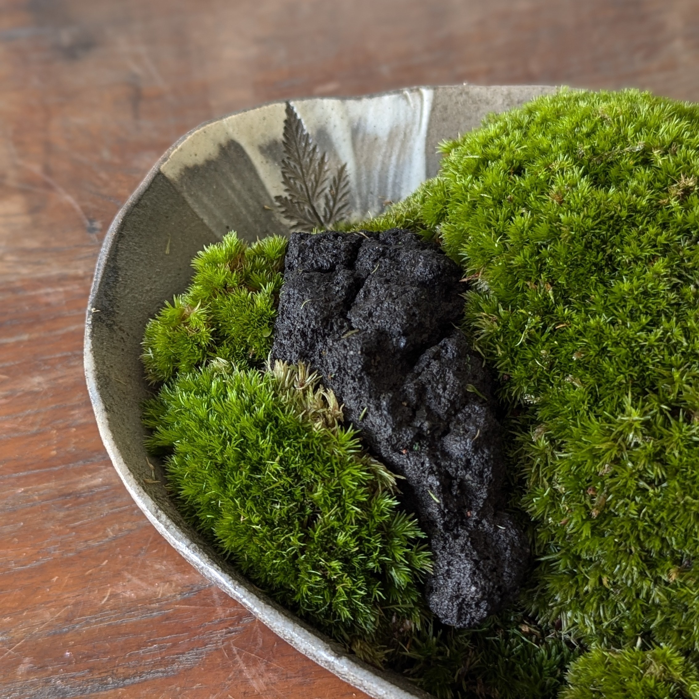 Japanese Moss Landscape – Handmade Ceramic Arrangement - Image 6