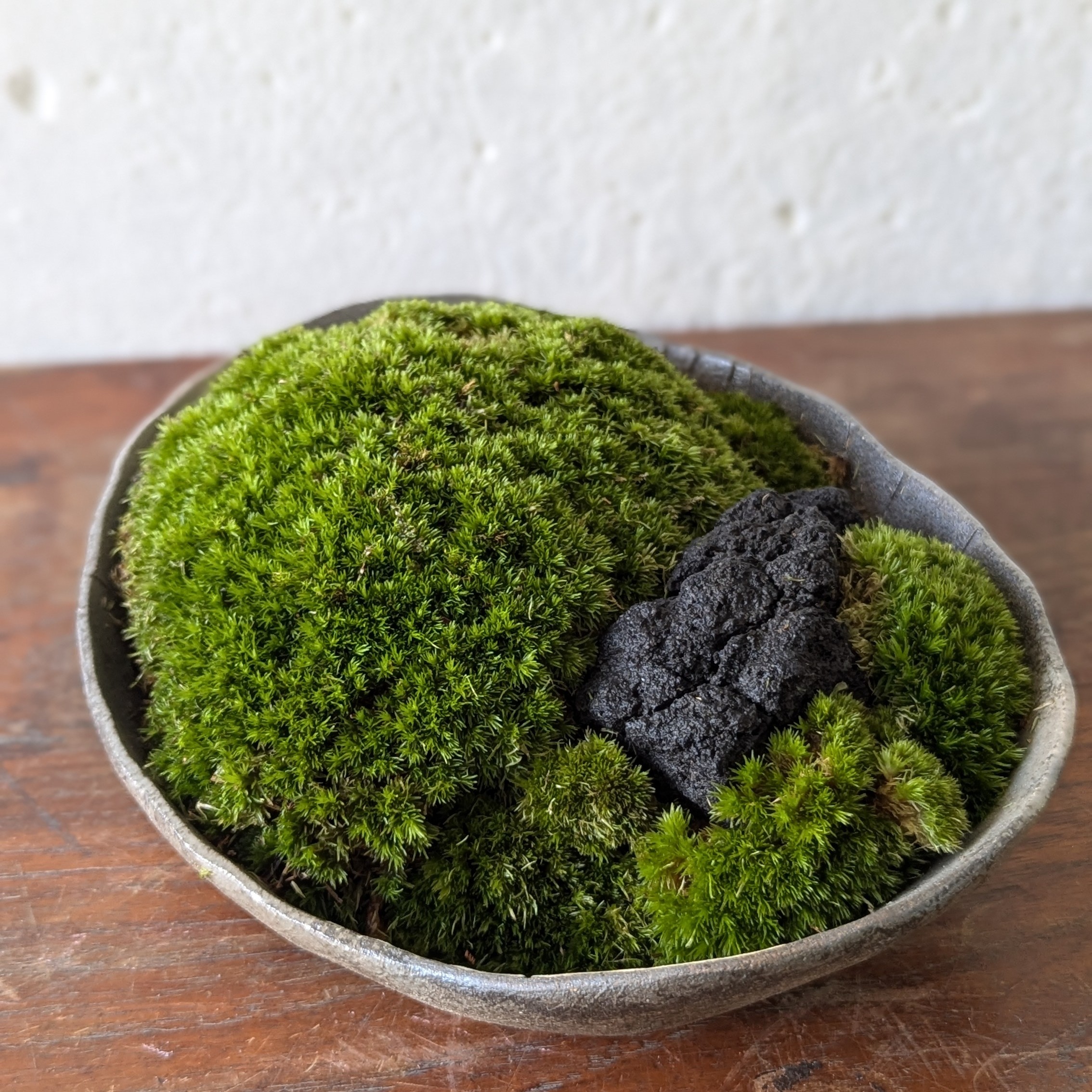 Japanese Moss Landscape – Handmade Ceramic Arrangement - Image 4