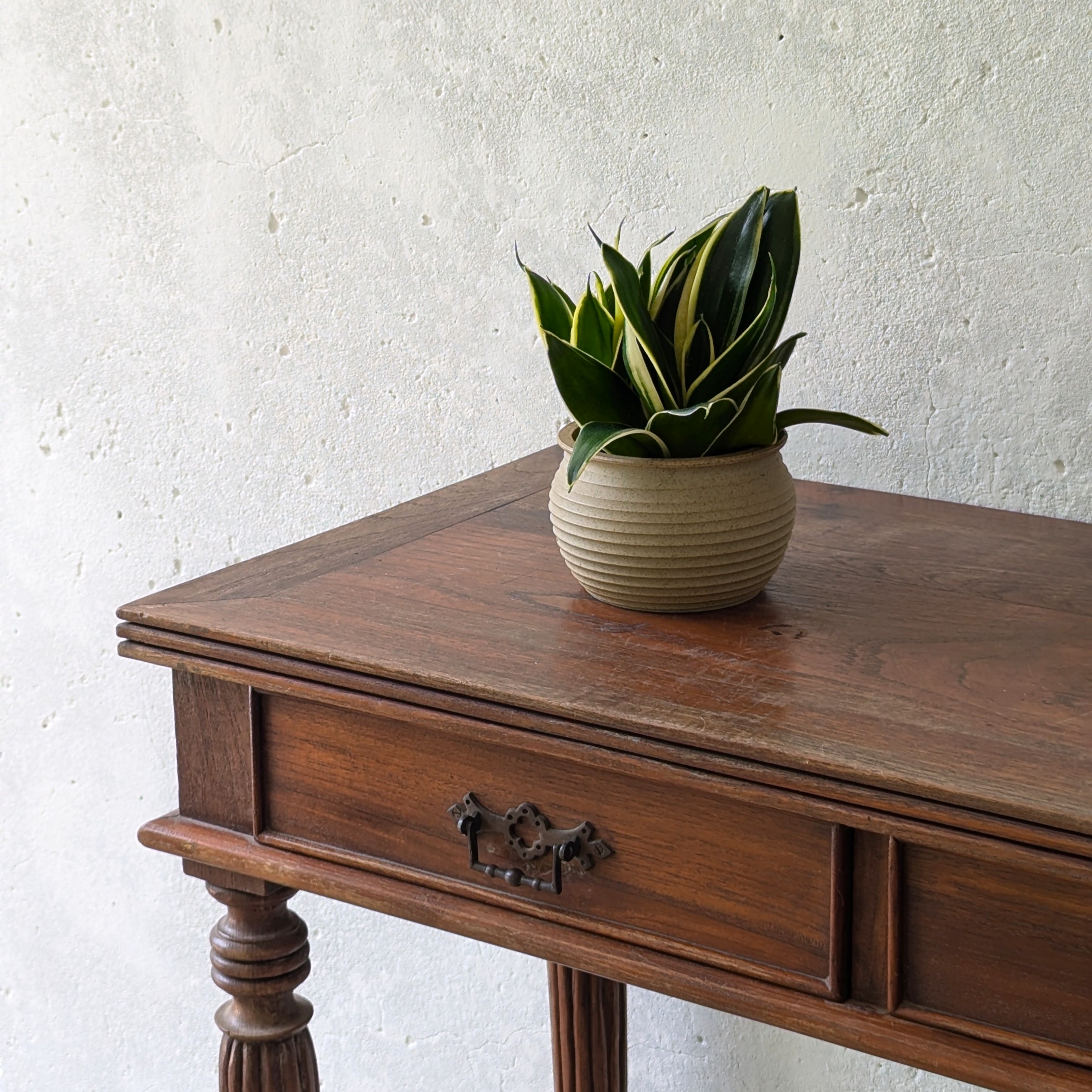 Sansevieria Trifasciata ‘Golden Hahnii’ - Image 3