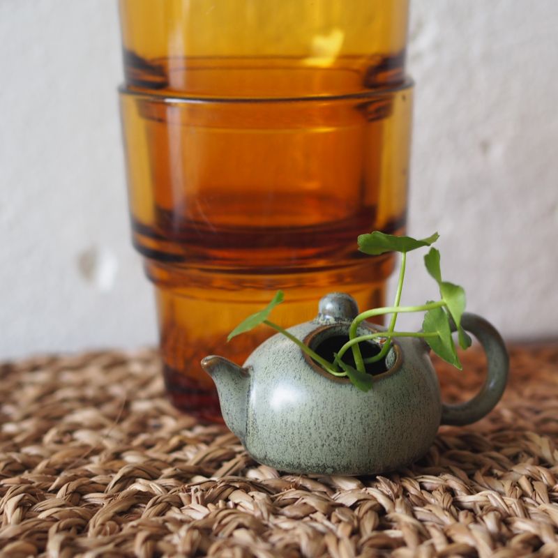 Mini Teapot Planter with Copper Coin Plant - Image 2