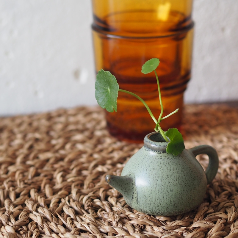 Mini Teapot Planter with Copper Coin Plant - Image 8
