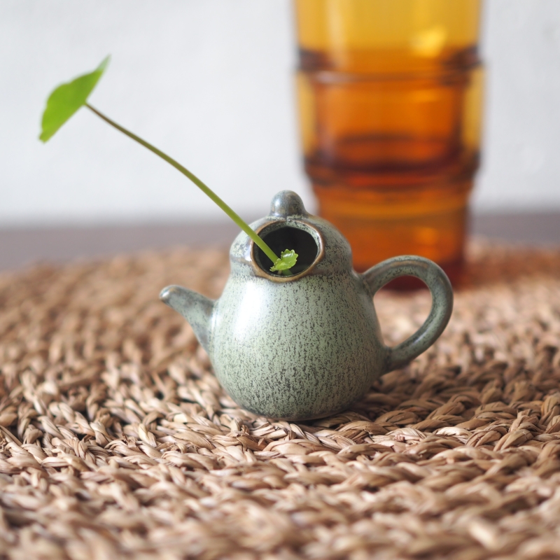 Mini Teapot Planter with Copper Coin Plant - Image 7