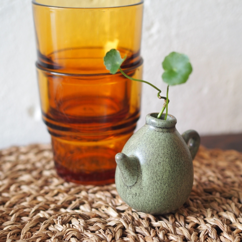 Mini Teapot Planter with Copper Coin Plant - Image 6