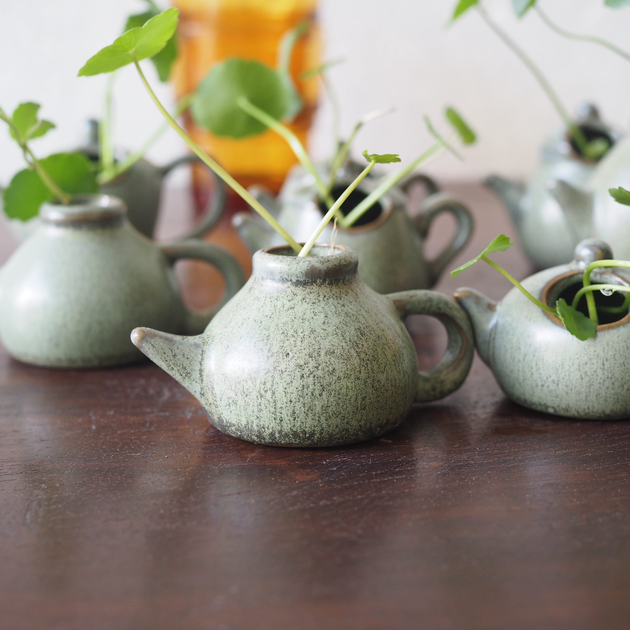 Mini Teapot Planter with Copper Coin Plant - Image 3