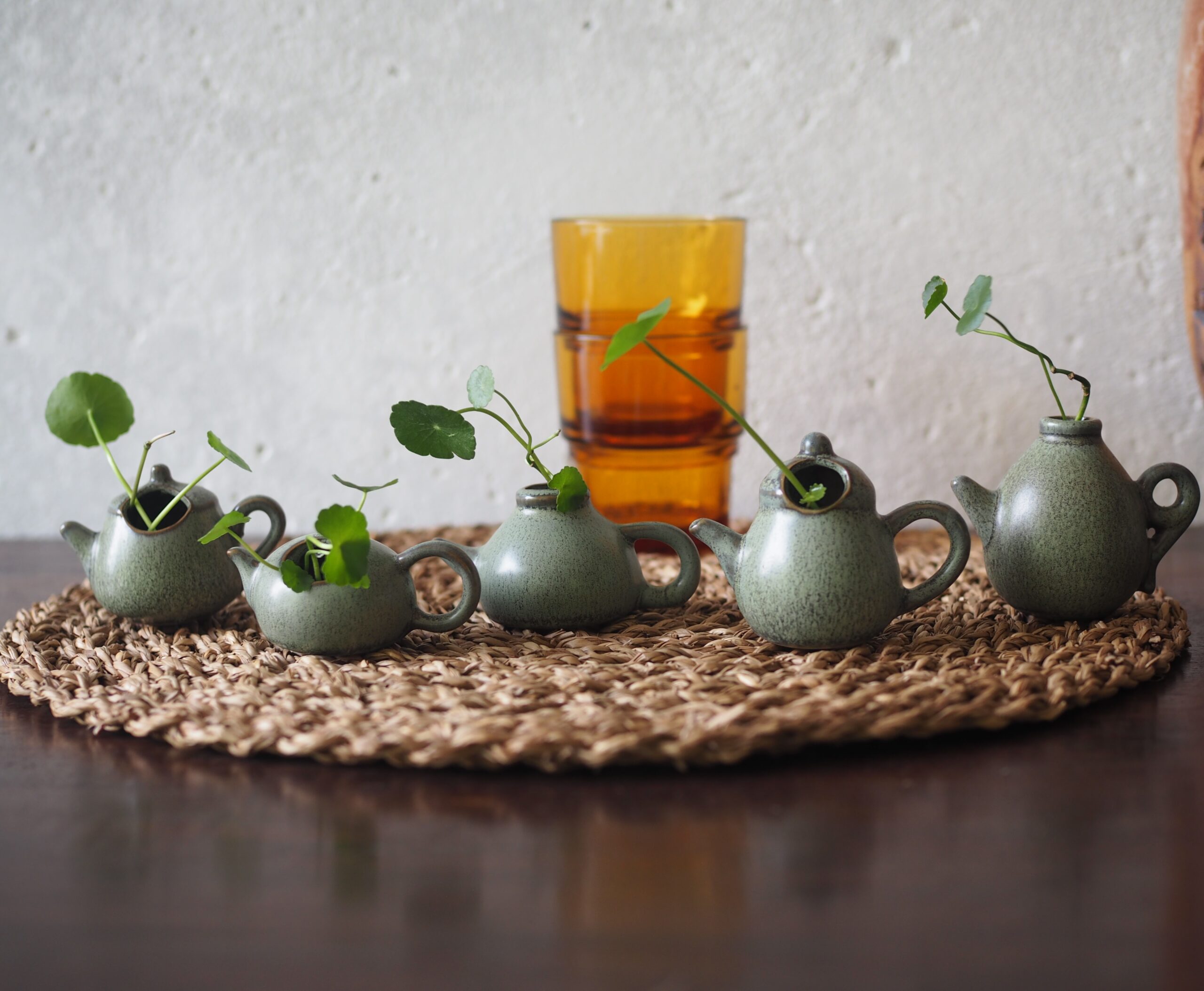 Mini Teapot Planter with Copper Coin Plant - Image 5