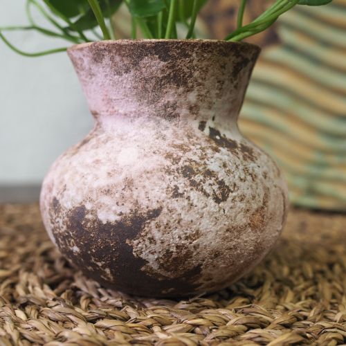 Copper Coin Plant - Rustic Pink - Image 4