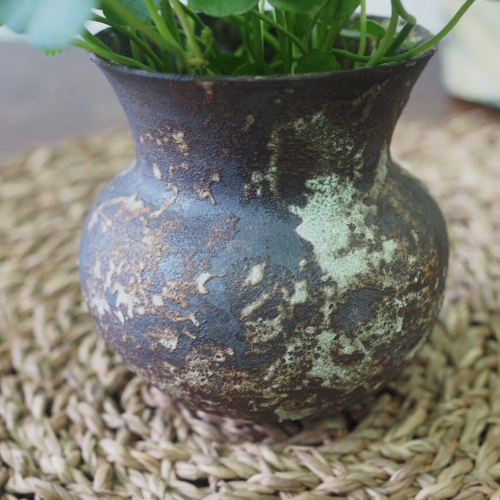 Copper coin plant in rustic teal vase