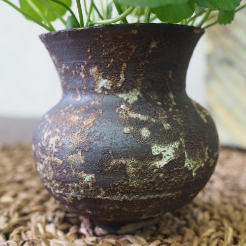 Copper coin plant in rustic teal vase