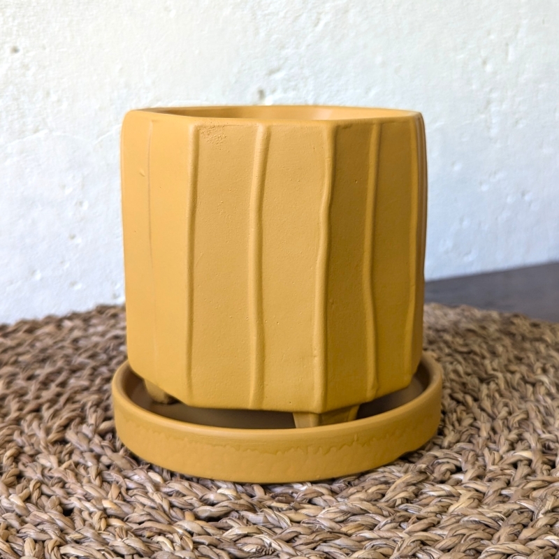 ZIGGY Ceramic Pot Small - Image 7